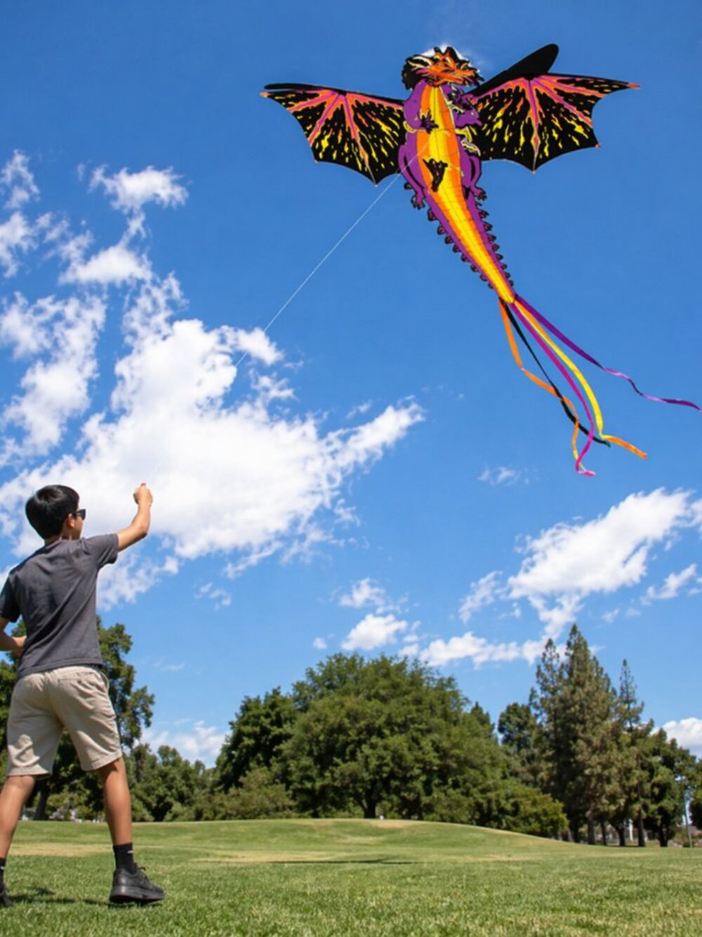 X-Kites 3D Dragon Kite 76" Giant Outdoor Beach Kite 193cm Skystreamers New